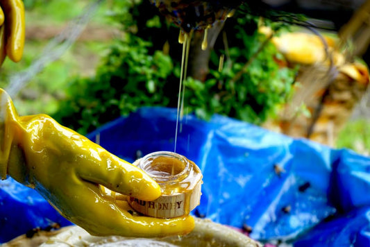 What To Know Before Eating Hallucinogenic Honey From Nepal
