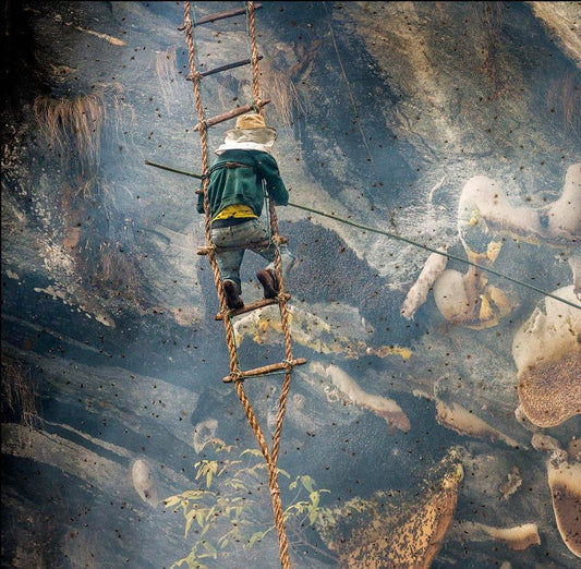 The Origin of Real Mad Honey