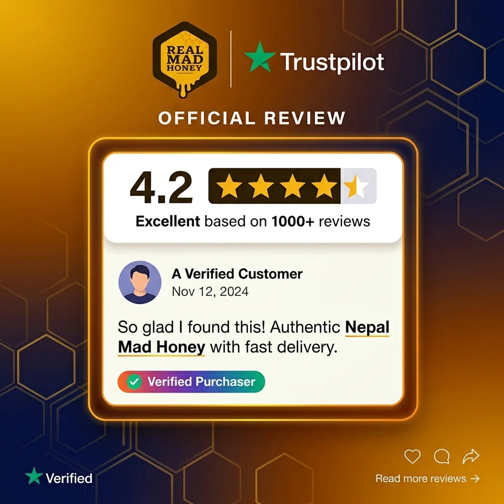 Review wall — 4.2-star average across Trustpilot and our own store