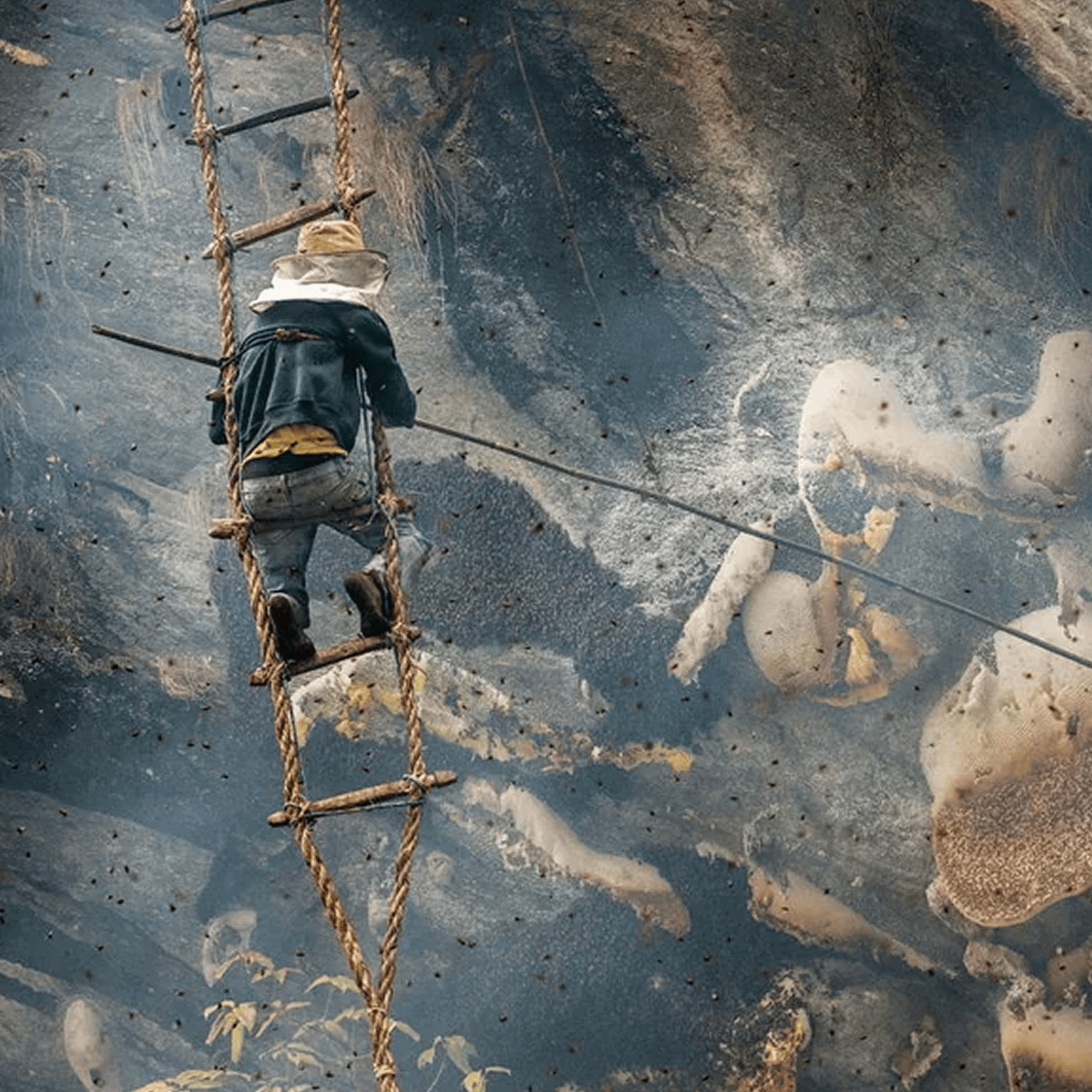 טיפוס על צוקים גבוהים