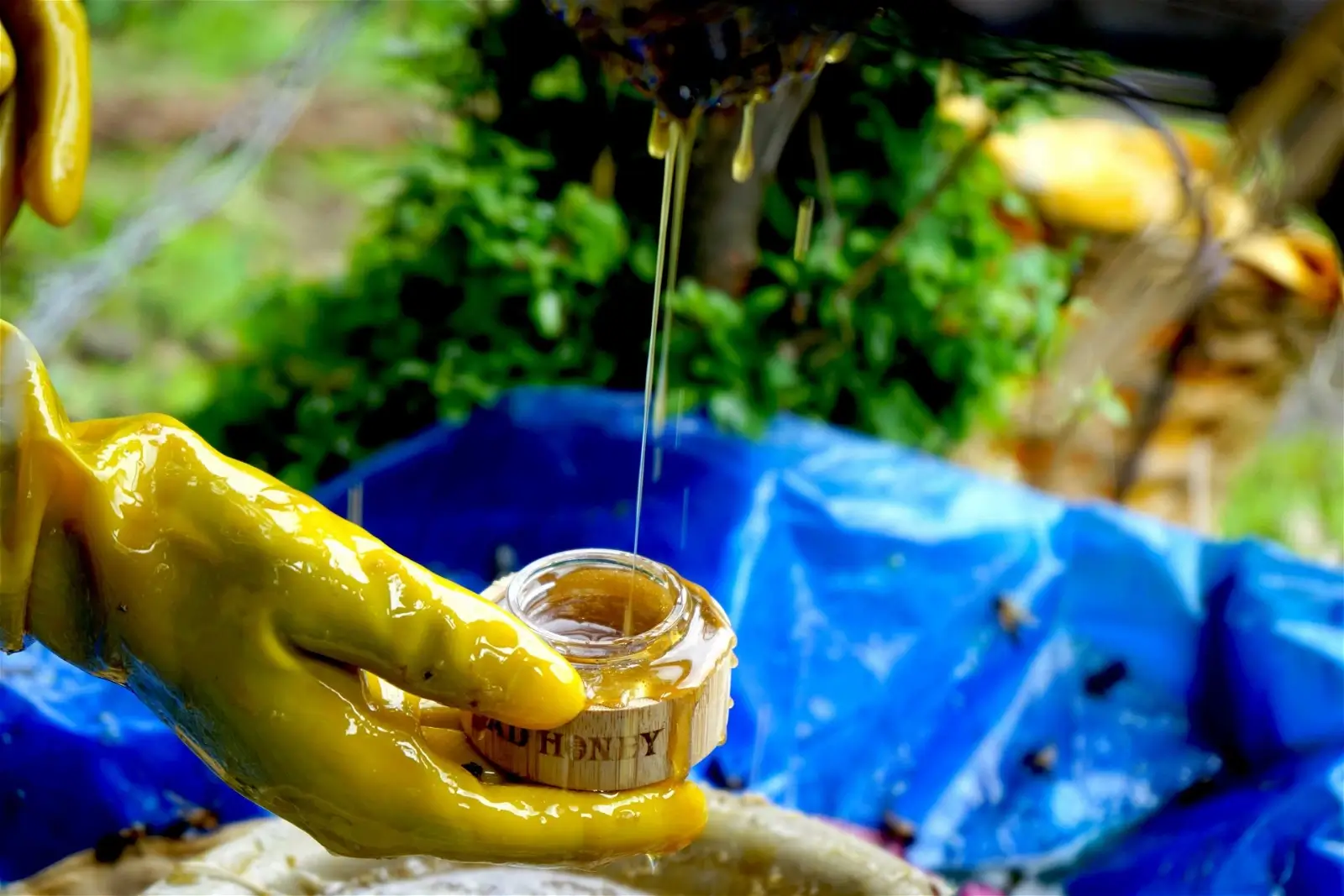 person with yellow gloves holding a mad honey jar with the honey spilled all over the jar and glove