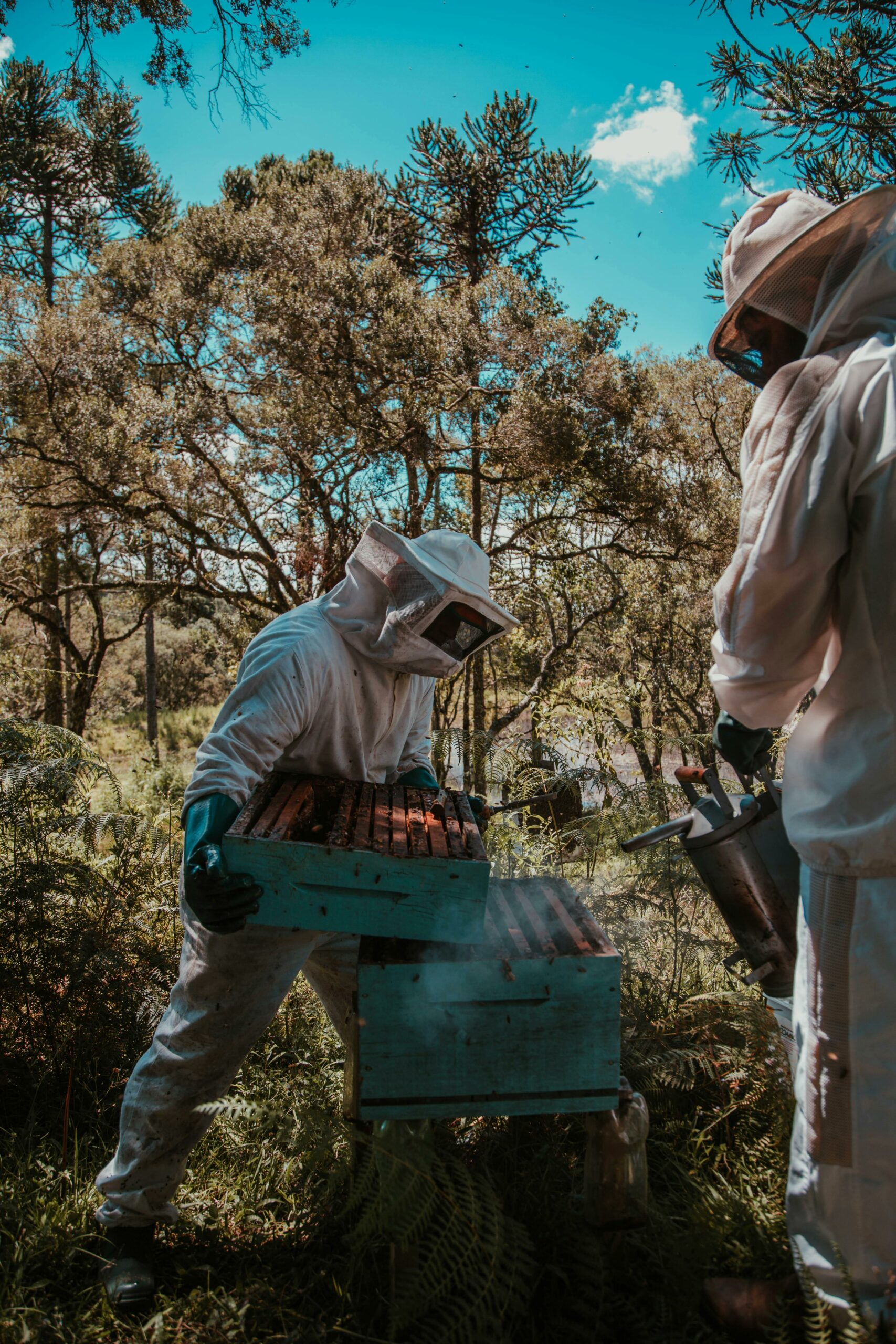 two beekeepers in uniform in the middle of the woods